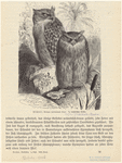 Image ID 821150