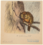 Image ID 821152