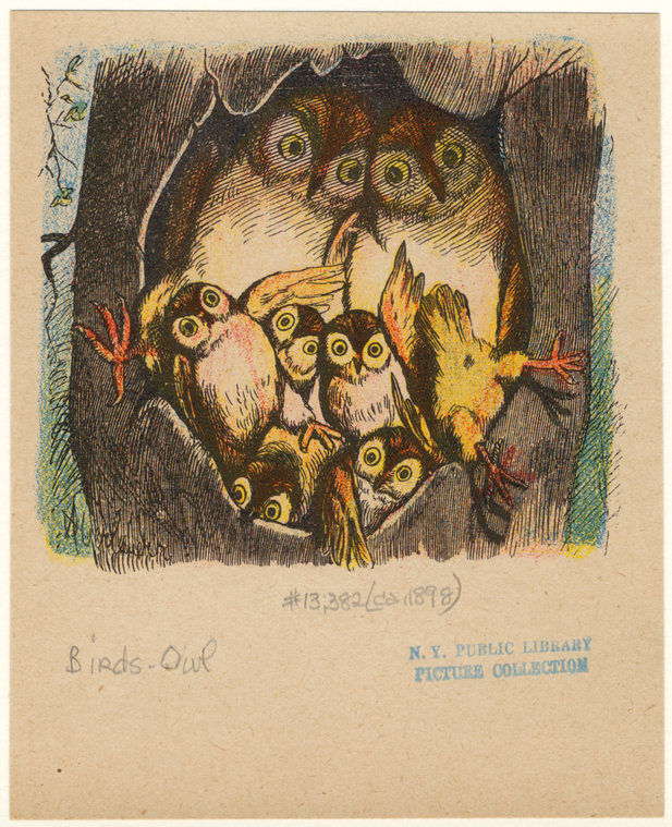 Image ID 821158
