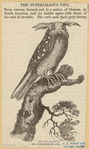 Image ID 821159
