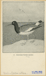 Image ID 821164