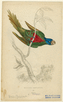 Image ID 821169