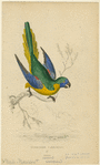 Image ID 821170