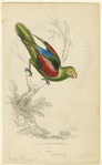 Image ID 821172