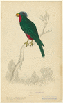 Image ID 821173