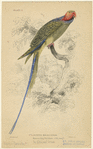 Image ID 821177
