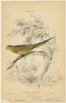 Image ID 821178