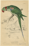 Image ID 821179