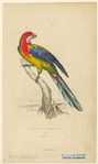 Image ID 821181