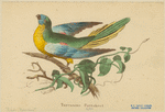 Image ID 821183