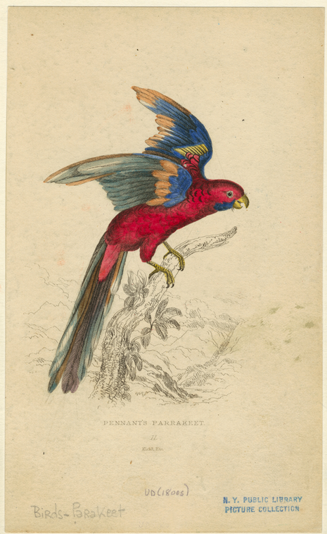 Image ID 821185
