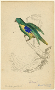 Image ID 821186