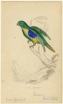 Image ID 821186