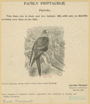 Image ID 821189