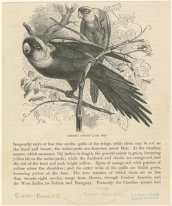 Image ID 821190