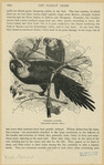Image ID 821192