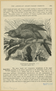 Image ID 821193