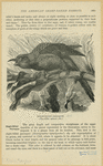 Image ID 821193