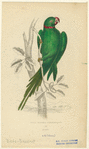 Image ID 821194