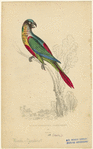 Image ID 821196