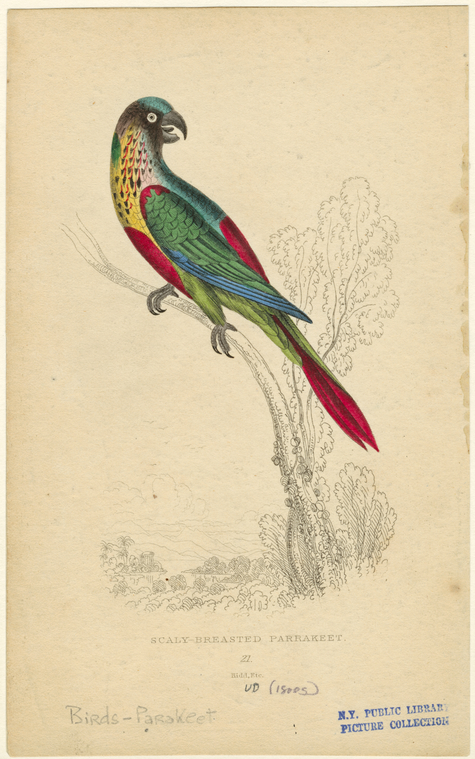 Image ID 821196
