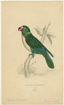 Image ID 821197