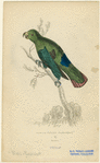 Image ID 821198