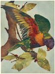 Image ID 821201