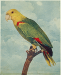 Image ID 821202