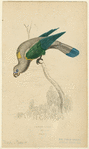 Image ID 821204