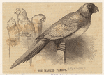 Image ID 821208