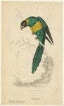 Image ID 821209