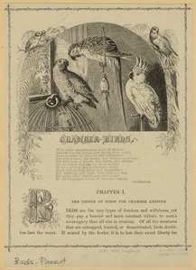 Image ID 821210