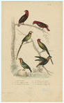 Image ID 821211