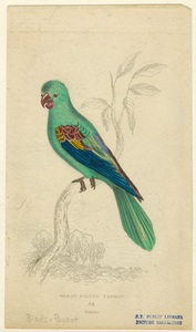 Image ID 821212