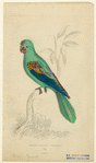 Image ID 821212