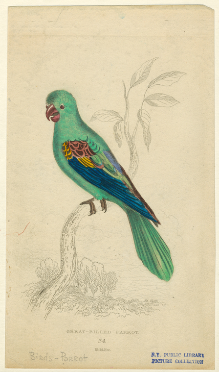 Image ID 821212
