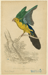Image ID 821213