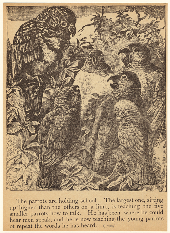 Image ID 821214
