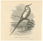 Image ID 821219