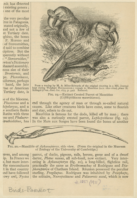 Image ID 821221
