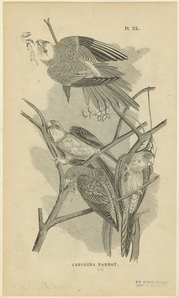 Image ID 821222
