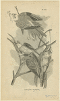 Image ID 821222