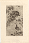 Image ID 821233