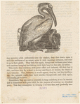 Image ID 821247