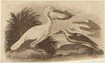 Image ID 821248