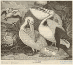 Image ID 821251