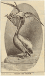 Image ID 821252