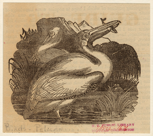 Image ID 821254