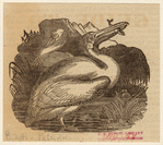 Image ID 821254